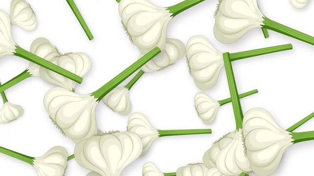 Falling Fresh Garlic Bulbs Animation on White Background