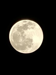 full moon in the night © Azzam