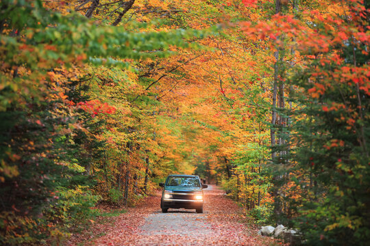 Vehicle driving through a colorful autumn forest on a leaf covered road