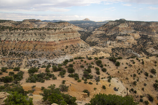 Layered sandstone cliffs and dry scrubland in a canyon landscape under a cloudy daytime sky