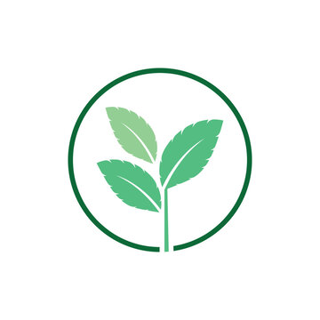 Simple mint logo leaf vector and symbol