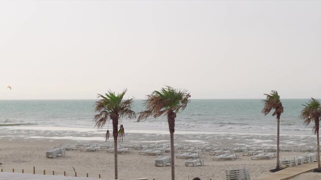 Palm trees and empty sun loungers on a sandy beach with sea waves an unrecognizable surfer with a kite
