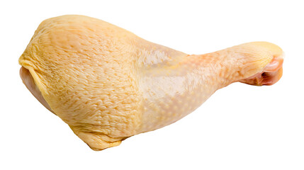 Raw fresh chicken drumstick with yellow skin © Maiken