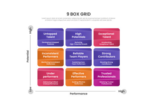9 box grid infographic template with three by three talent matrix performance potential axis header card layout, gradient style
