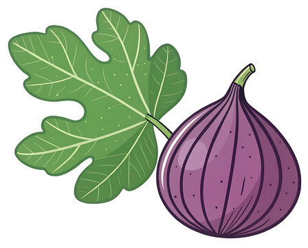 Minimal vector fig, purple oval fruit with green leaf