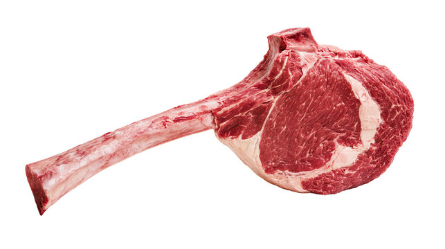 Raw tomahawk ribeye steak with long bone and marbled beef muscle tissue