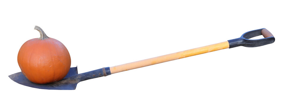 shovel and orange pumpkin isolated on transparent background
