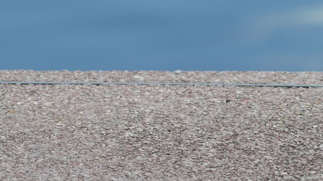 Close-up of textured pebble concrete pool edge beside clear turquoise water with soft cloud reflections, minimalist summer swimming pool background