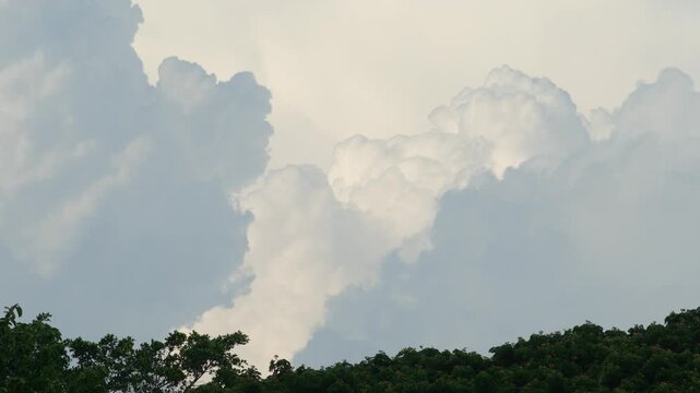 Towering white cumulus cloud against a bright turquoise blue sky above dark tree canopy silhouette, dramatic summer cloudscape