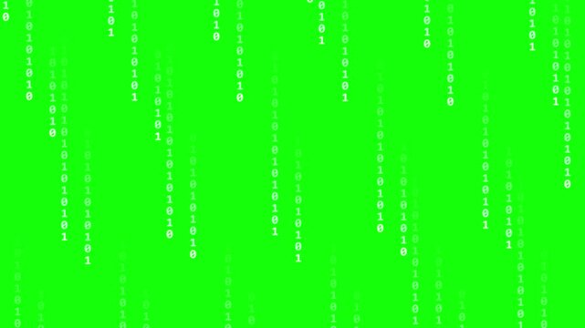 Falling White Binary Code Stream and Digital Numbers Rain on Chroma Key Green Screen Background