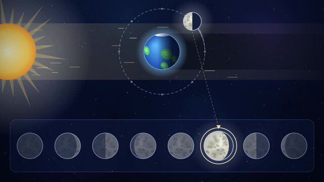 Moon phases animation, the Moon orbits the Earth in sunlight while each phase lights up from new moon to full moon