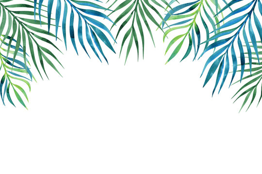 Palm tree tropical leaves watercolor border on white background