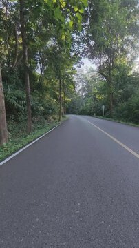Vertical footage of a quiet asphalt country road leading toward distant mountains, lined with green trees, streetlights and overhead power lines under a clear blue sky.
