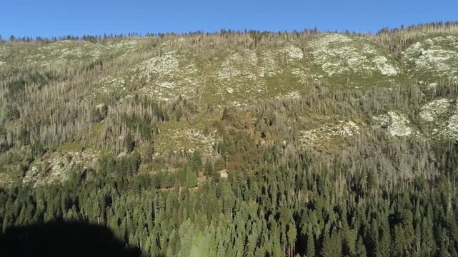 Eldorado National Forest Aerial View