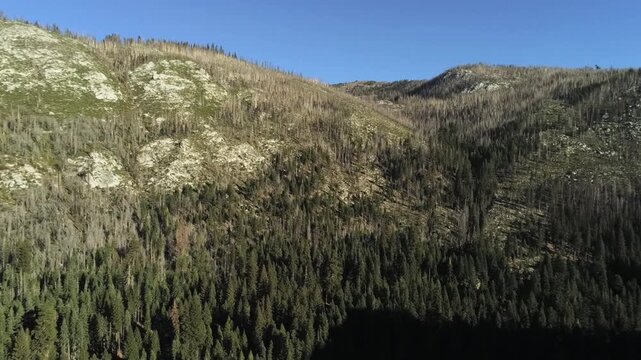 Eldorado National Forest Aerial View