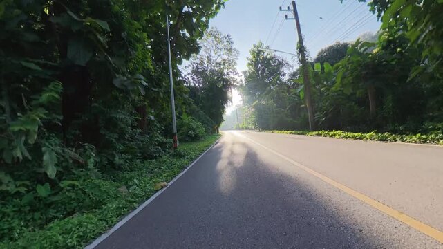 Cycling POV along a quiet asphalt road through dense tropical greenery, with bright sunlight filtering through the tree canopy and casting long shadows across the pavement.