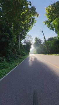 Vertical cycling POV footage along a quiet asphalt road through dense green forest, with sunlight shining through the tree canopy and casting long shadows across the pavement.