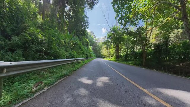 A quiet asphalt road runs through dense tropical forest, with a metal guardrail on the left, a roadside streetlight and lush green vegetation beneath a bright blue sky.