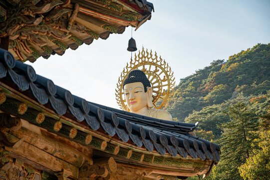 속리산 법주사의 전통 사찰 처마 너머로 보이는 거대한 금동미륵대불.(Golden giant buddha statue seen over traditional temple eaves at Beopjusa temple in Songnisan.)
