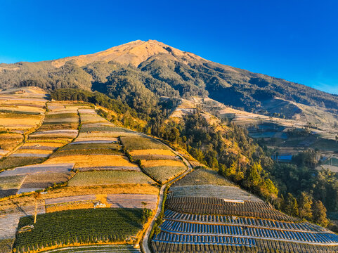 Aerial view of terraced agricultural fields on the slopes of Mount Sumbing, with vibrant crop patterns and lush vegetation in Kecamatan Kaliangkrik, Jawa Tengah, Indonesia.