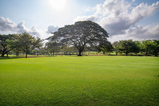 Beautiful golf course landscape featuring lush green fairway outdoor setting represents golf recreation  leisure nature and premium golf club facilities.