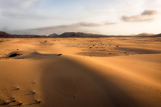 Aerial view of the vast golden sand dunes of Fuerteventura with a lone person walking across the desert landscape under soft sunset light in Las Palmas, Canary Islands, Spain.
