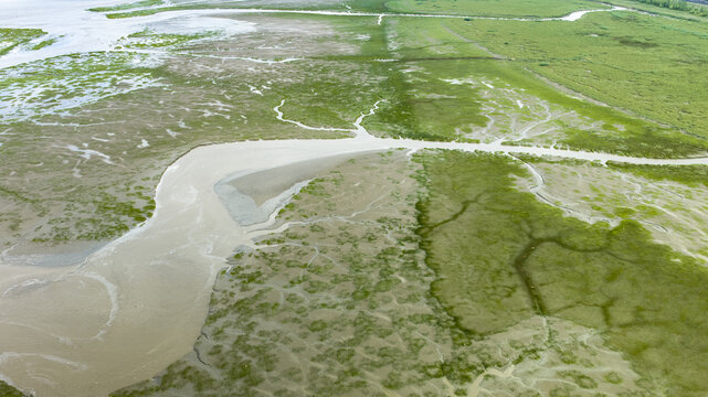 Aerial View of Tidal Flats and Wetlands at Qiantang River in Hangzhou