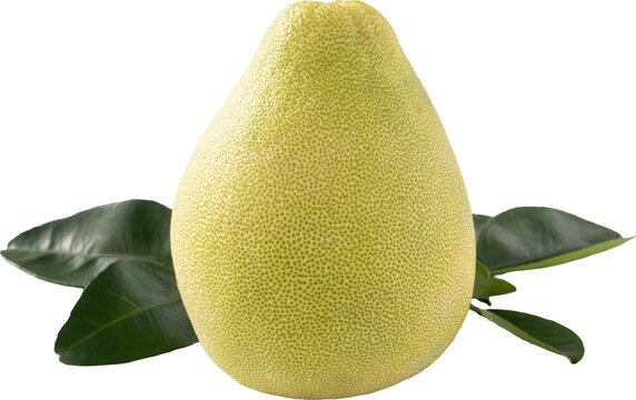 Fresh pomelo fruit with leaf isolated on white background with clipping path.