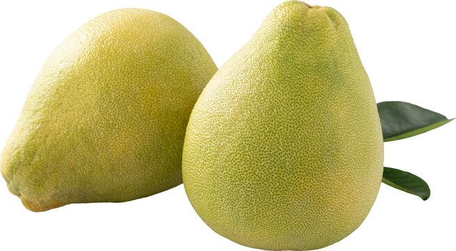 Fresh pomelo fruit with leaf isolated on white background with clipping path.