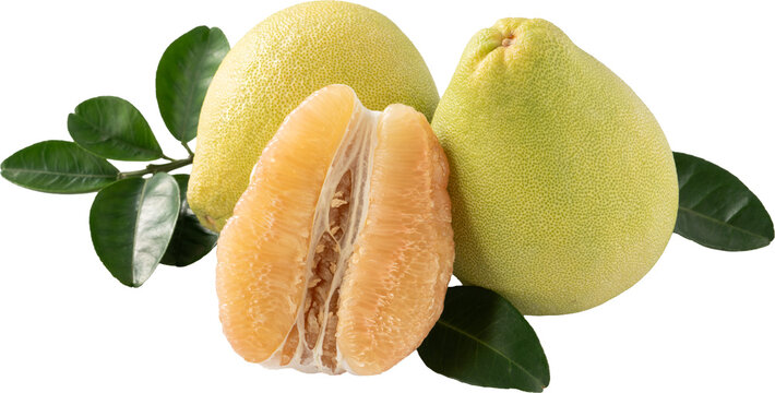 Fresh pomelo fruit with leaf isolated on white background with clipping path.