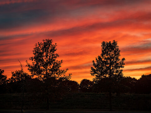 Vibrant fiery red and orange sunset clouds glowing over silhouetted trees in a dramatic twilight sky