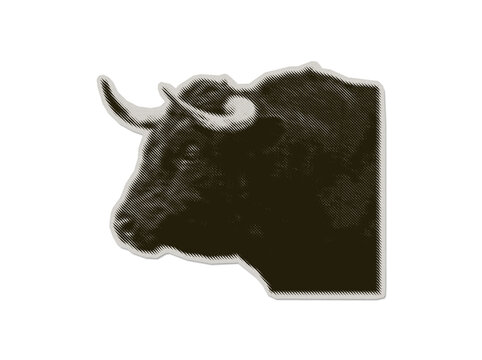 Bull head PNG sticker in engraving line halftone style with paper texture border