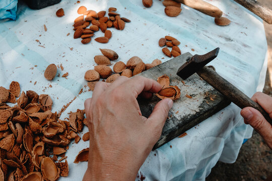 man cracking an almond with a hammer from above