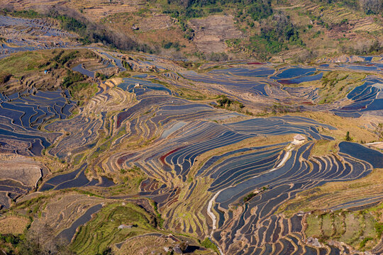 Aerial view of the terraced fields in Yuanyang, Yunnan Province