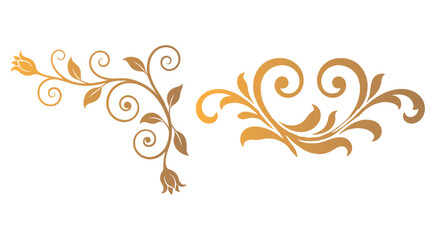 Set of elegant golden vector floral design elements featuring ornate vintage flower blossoms, curling vines, delicate leaf flourishes, and symmetrical decorative ornaments on a clean white b © Liza Akther