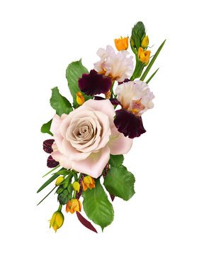 Rose, ornithoghalum and iris flowers in a floral arrangement isolated on white or transparent background