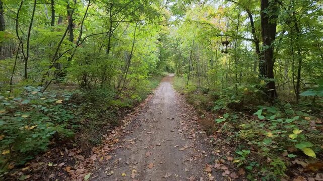Walking POV along dirt trail in forest with natural birds singing sound audio