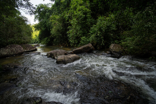 Natural River Rapids Flowing Through a Tropical Forest Landscape