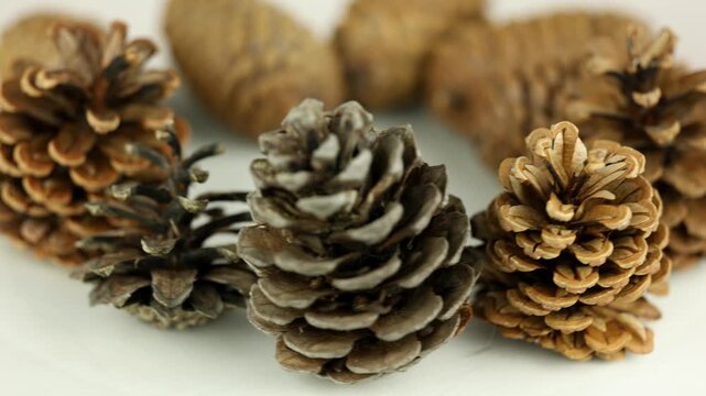 Assorted dry pinecones spin smoothly on bright white background, displaying organic shapes and varied scales for winter festive craft decoration ideas in elegant studio setting with even lighting