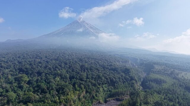 Misty peak rises above lush green forest. Mountaintop veiled in cloud, serene and majestic at Pronojiwo, Lumajang