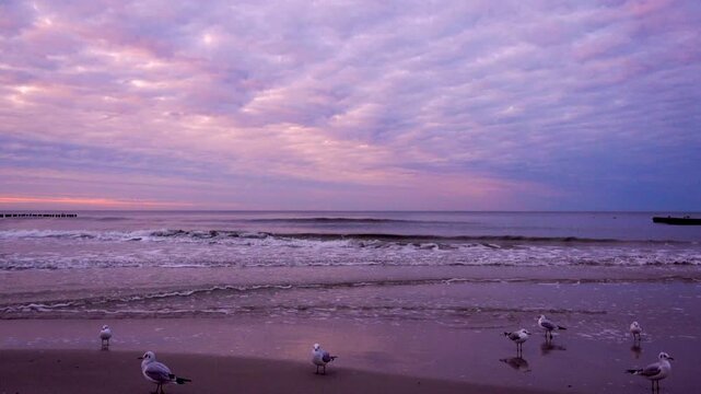beautiful sunset ocean waves crashing on the sandy beach with seagulls and relaxing sound of sea surf 1 min