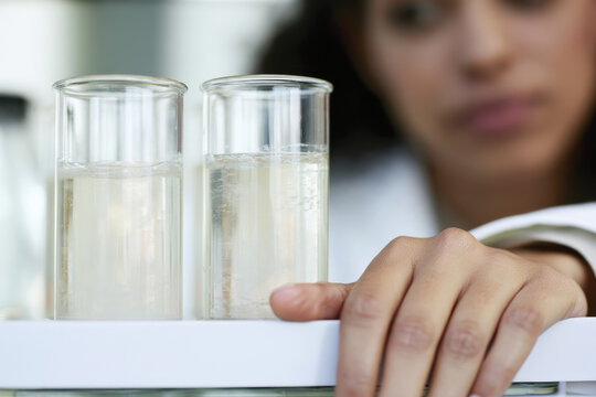 A focused scientist observes two glass beakers filled with liquid. The image captures the essence of scientific inquiry and experimentation in a modern laboratory setting.
