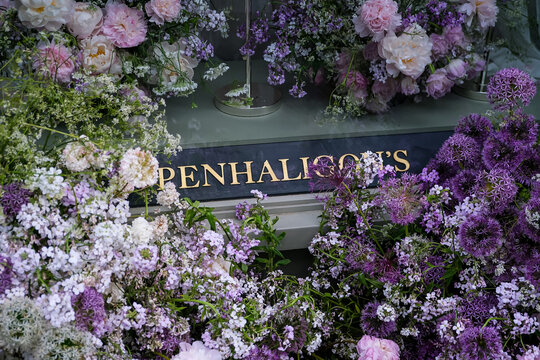 London, UK - May 21, 2025. Extravagant Purple and Pink Floral Display Framing Penhaligon's Storefront. A high-detail horizontal close-up photograph showcasing a lush and opulent floral arrangement fea