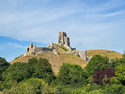 Corfe Castle, Dorset, UK - July 13, 2026. Corfe Castle Medieval Ruins on Hilltop Framed by Green Trees in Dorset. A high-detail horizontal landscape photograph showcasing the dramatic medieval stone 