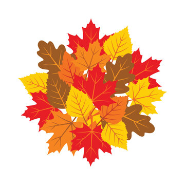 Autumn leaves bundle composition with maple and oak foliage vector illustration background woodland