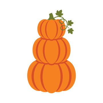 Stacked pumpkins tower with vine and leaves vector art pumpkin autumn vegetable white background