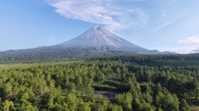 Mountain Semeru rise bold against sky, calm and grand. Green forest stretches, dense and lush, below at Pronojiwo, East Java, Indonesia