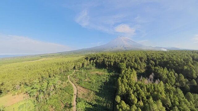 Wide aerial fisheye shot of pine forest with Mount Semeru volcano in clear morning sky
