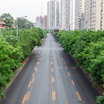 Road with a marking. The track on the background of the city and trees.