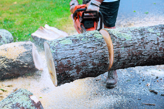 Handyman uses chainsaw to cut log in yard sawdust flies around as they work.
